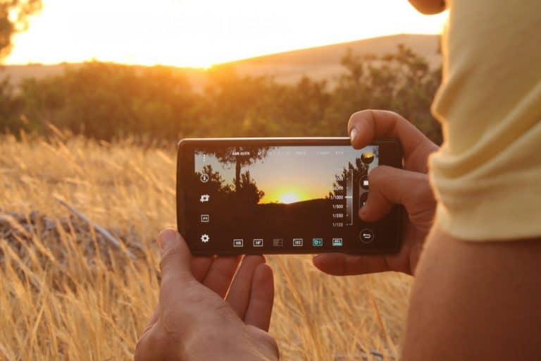 From Tractors to TikTok - Webinars explore building a farm brand