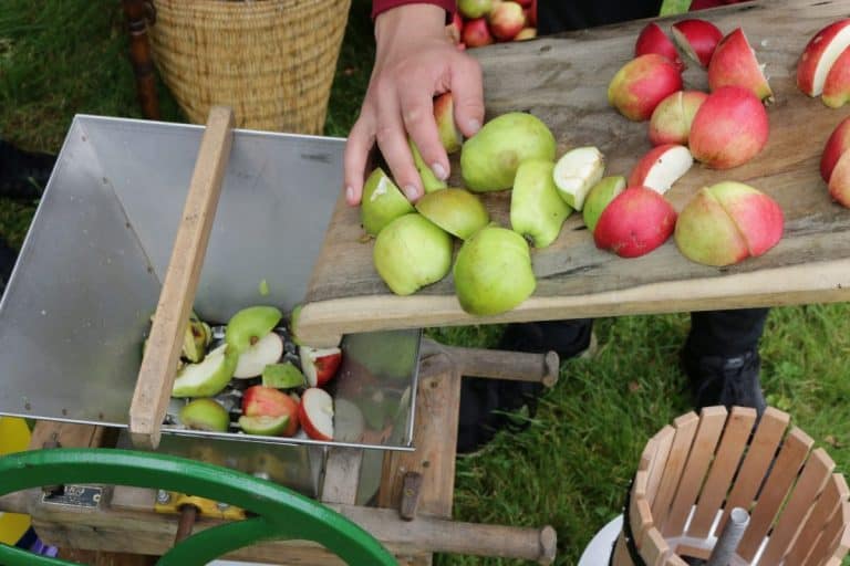 Galloway’s Local Fruit & Nuts – Keep Your Eyes ‘Peeled’!