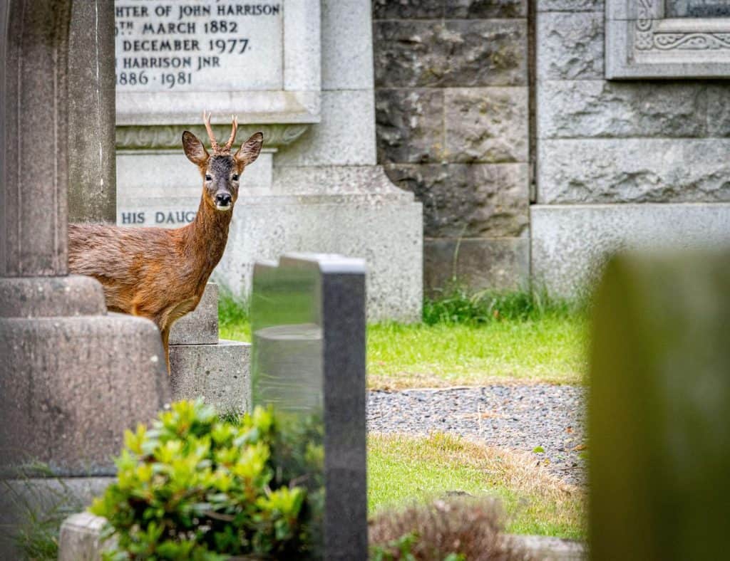 RSPB Scotland is asking people to share what they’re appreciating in the world around them