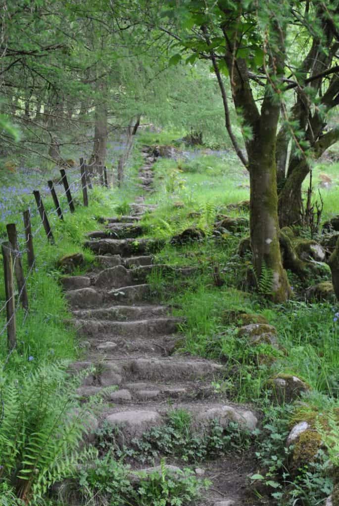 "Plan your walk, walk your plan" - Mountain safety and outdoor access advice