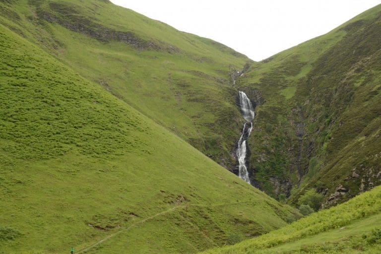 JOAN McALPINE MSP CAMPAIGNS TO PROTECT GREY MARES TAIL