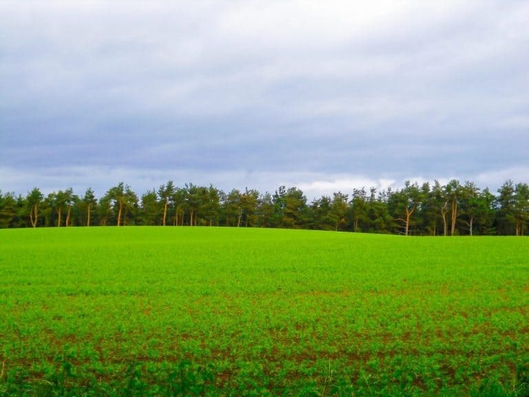 The Scottish Agri Food Sector Is Set To Go Into Recession