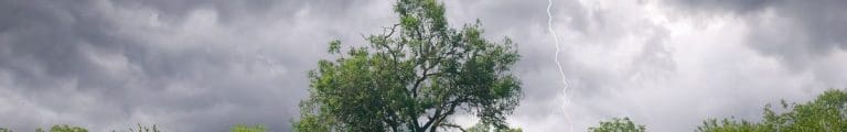 Thunderstorms and heatwave conditions to Continue