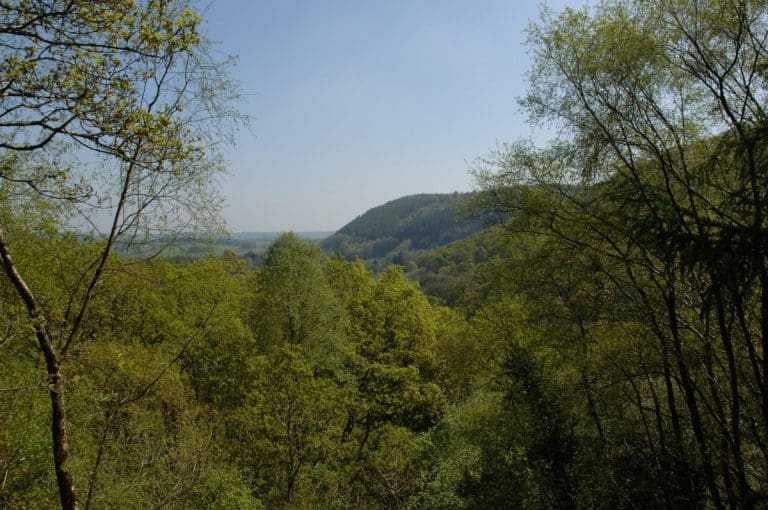 £1.6 billion To support Scotland’s green recovery