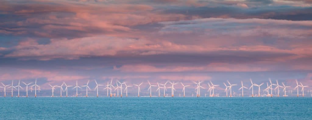 Stepping towards a green recovery