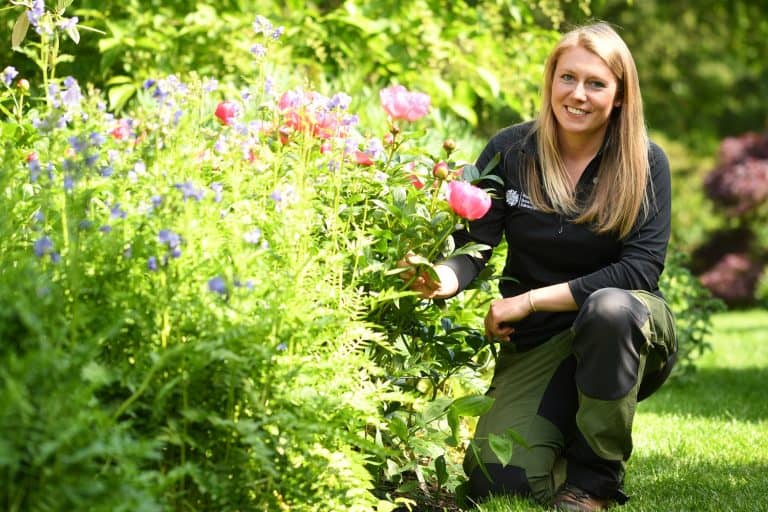 Royal Botanic Garden Expert’s Top Tips for a Green Garden  