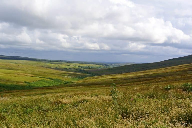 £300,000 game-changer for southern Scotland’s biggest community buyout as deadline looms