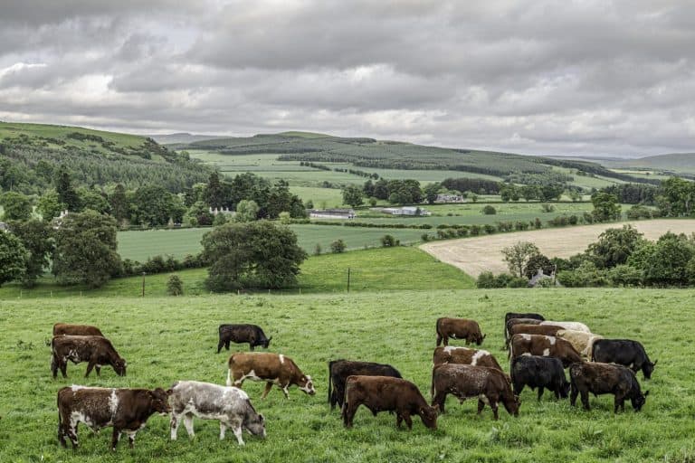 Event to explain science behind Scottish Food and Drink Provenance