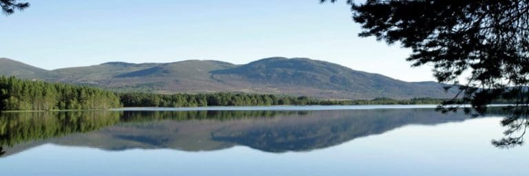 RSPB Scotland using innovative techniques to make its reserves the best for nature