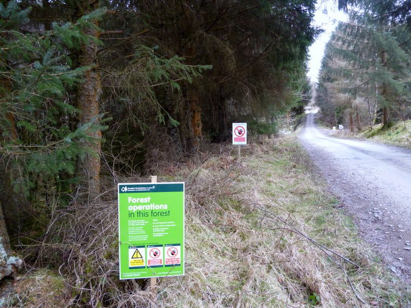 Views sought on Moniaive's Dalmacallan Forest management plan