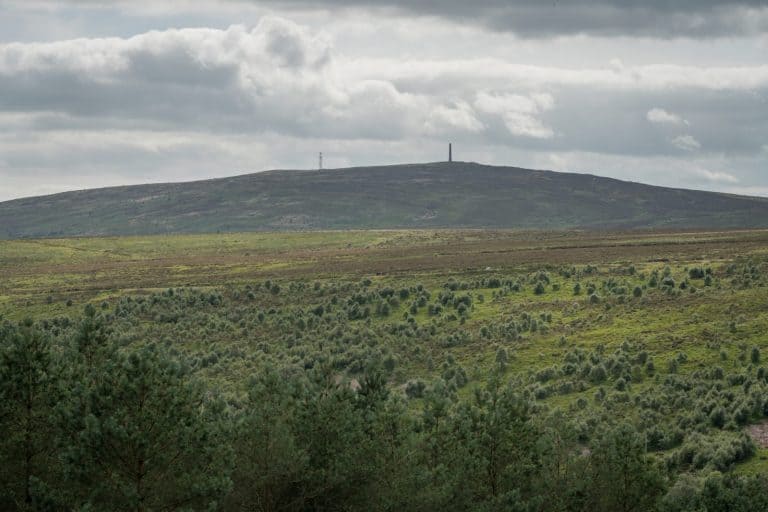Funding For Langholm Moor Community Buyout Secured