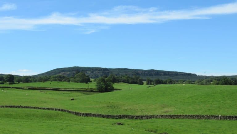 Protesters Increase Pressure Against Mochrum Fell turbines