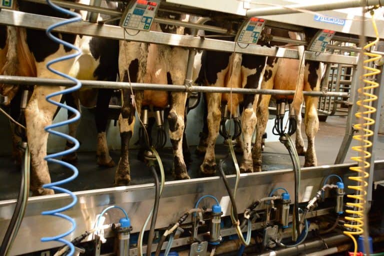 DAIRY HUB SEMINAR GOING DIGITAL FOR AGRISCOT 2020