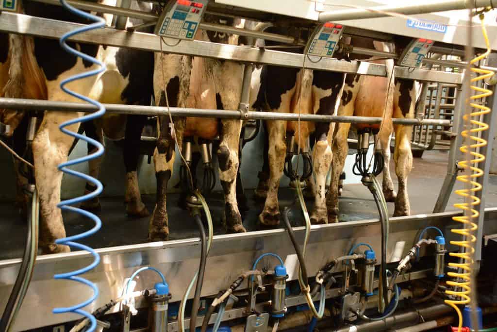 DAIRY HUB SEMINAR GOING DIGITAL FOR AGRISCOT 2020