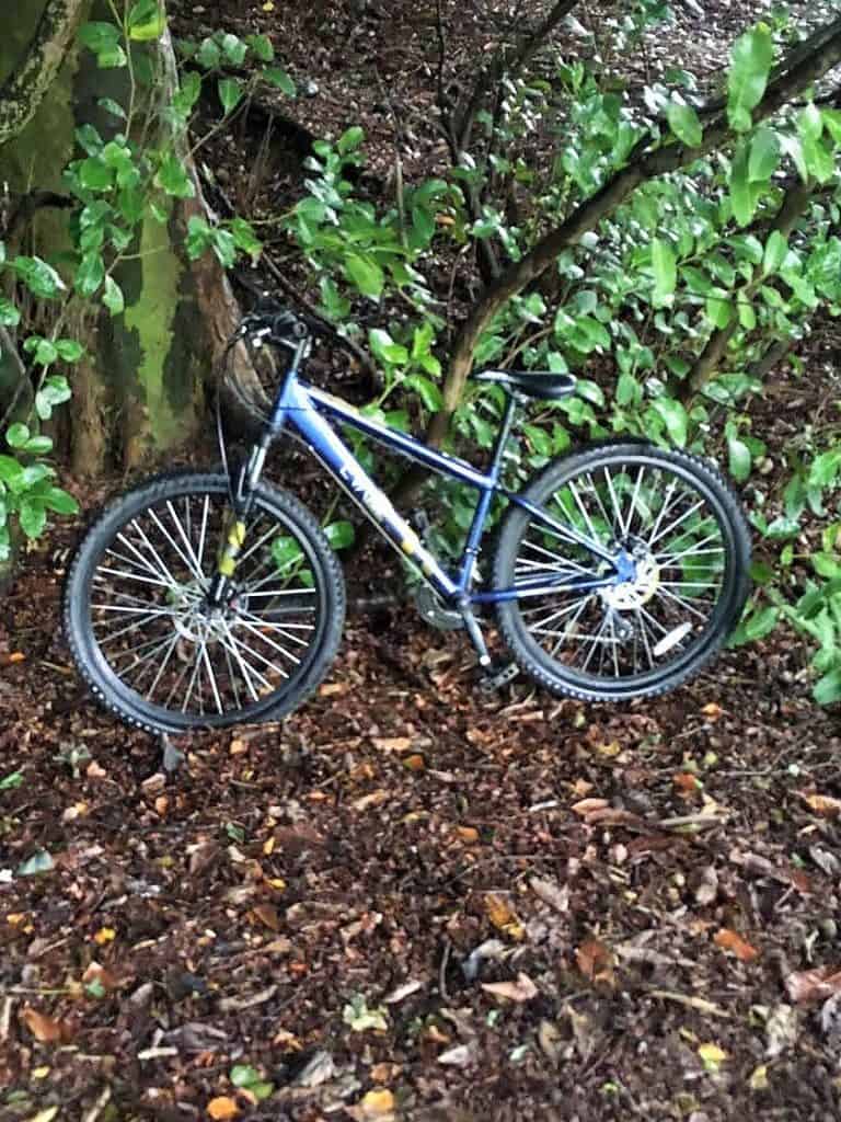 Mountain Bike Stolen From Garden Shed – Dumfries