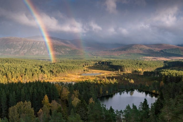 Visitscotland Becomes First National Tourism Organisation To Join Tourism Declares Initiative