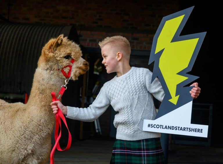 Virtual Advent Calendar Offers Feelgood Festive Shopping To Support Local Businesses In The South Of Scotland