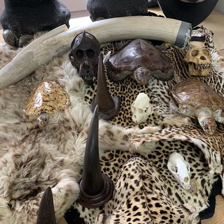 Police Launch Year Long Wildlife Crime Campaign