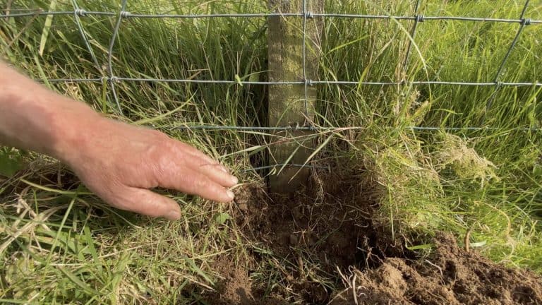 Does 25 years of soil data prove carbon negative dairy farming is possible? 