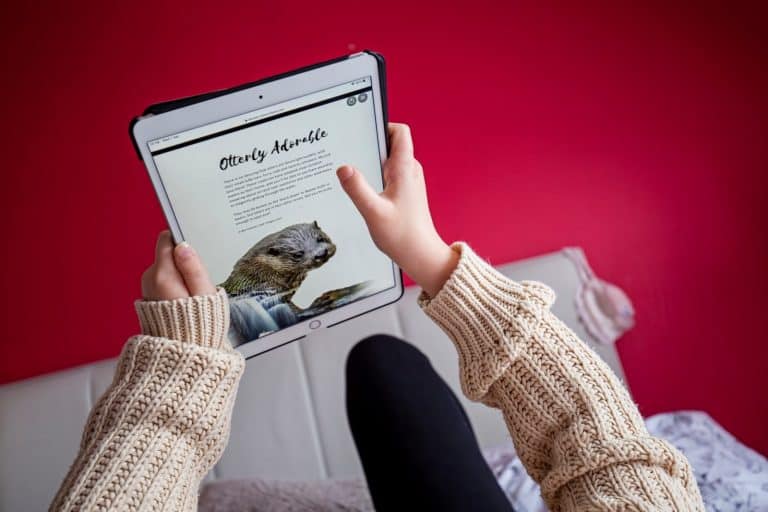 Scotland's Museums and Attractions are Here to Help With Home schooling