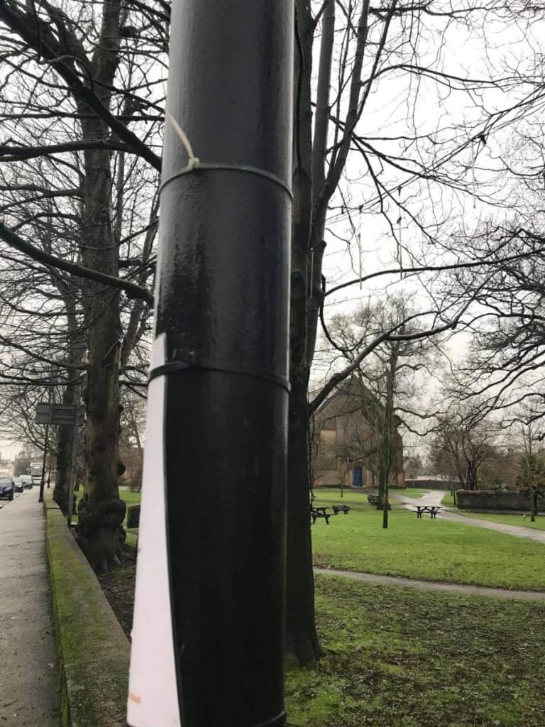 Cable Ties On Lamp Posts Cause Concern for Dog Owners