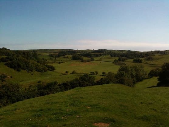 PLANS TO SLASH FUND THAT HELPS LOCAL FARMERS TACKLE CLIMATE CHANGE ARE “SAVAGE” AND “PREMATURE” - SMYTH