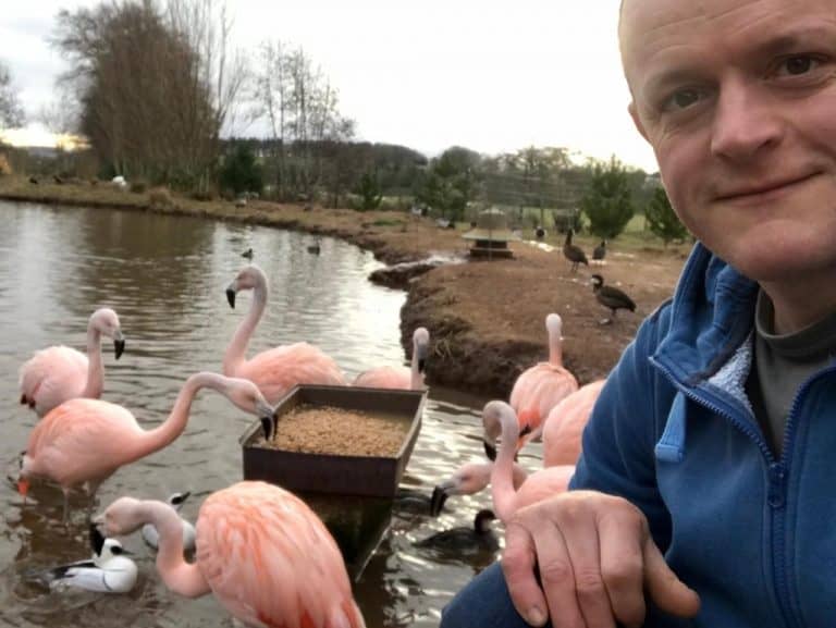 South Of Scotland Enterprise Invests In New Conservation & Breeding Centre For Endangered Birds In Scottish Borders