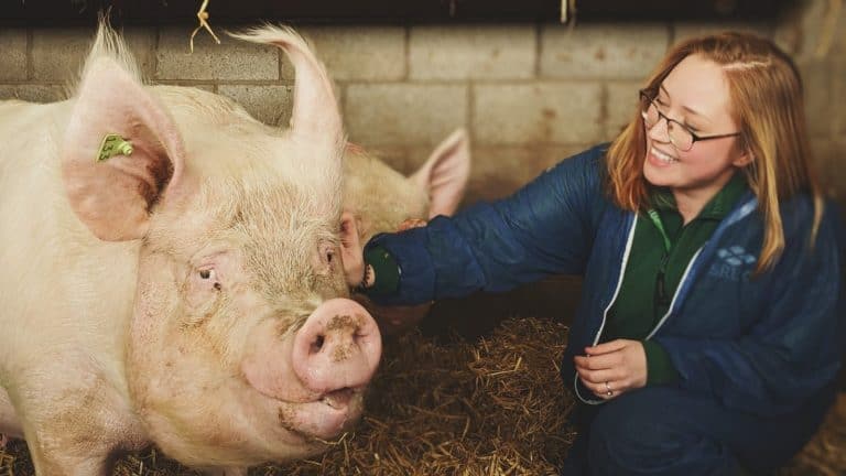 Virtual events will highlight courses on offer at SRUC.