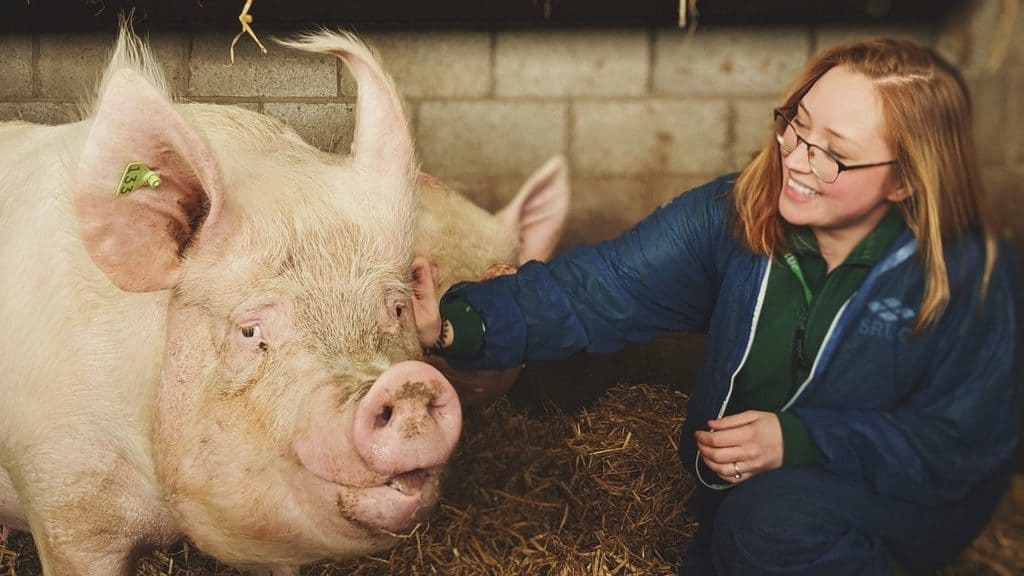Virtual events will highlight courses on offer at SRUC.