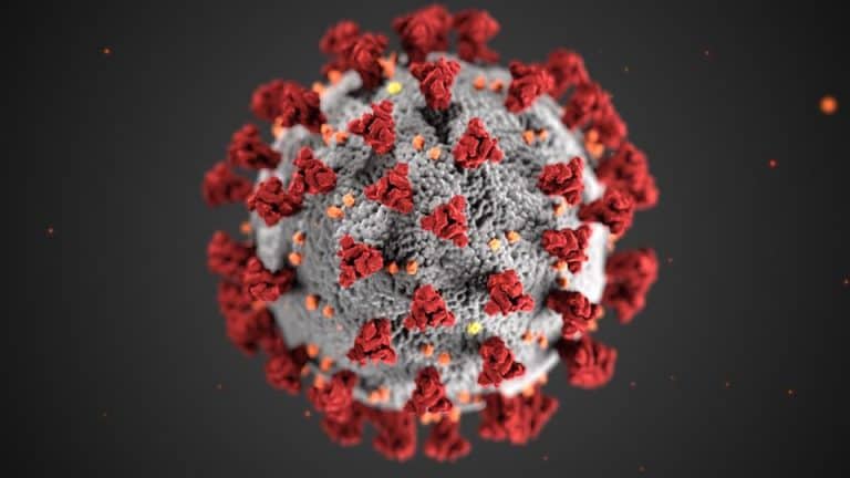 Mutation of Kent COVID variant has been discovered