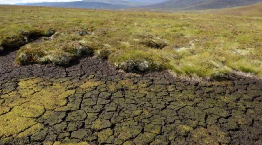 Risk of extreme droughts likely to increase in Scotland