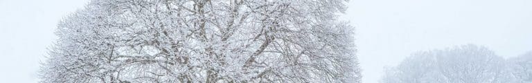 Storm Darcy Heads Towards UK