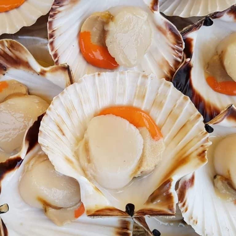 Scottish Seafood Taskforce To Drive Progress