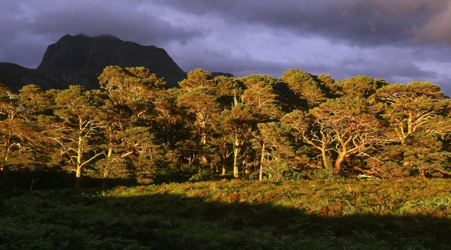 Investment in Scotlands nature reserves and rangers