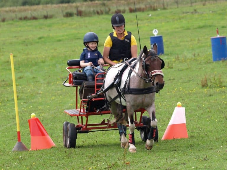 Sports Driving Unlimited – Winner Of National Disabled Driving Group Of The Year 2020