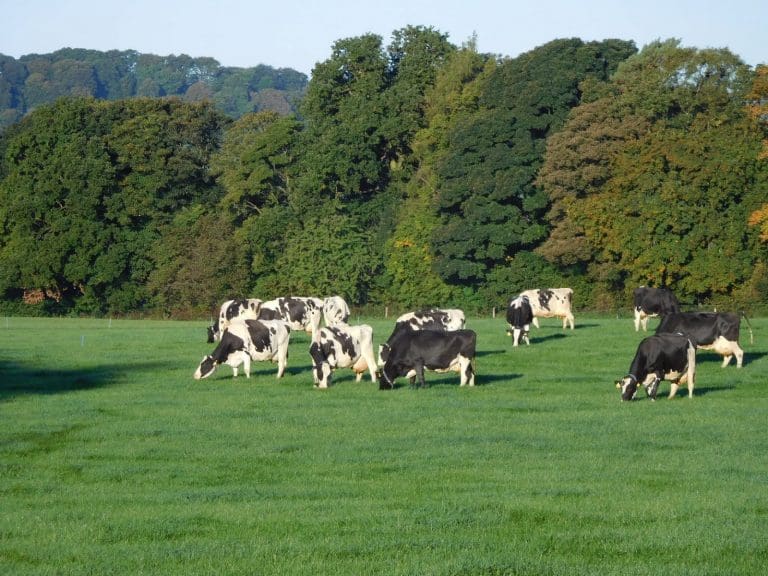 From couch to countryside