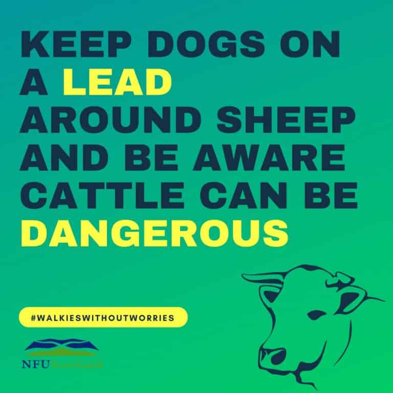Farmers & Crofters Call On Dog Owners To Take #walkieswithoutworries
