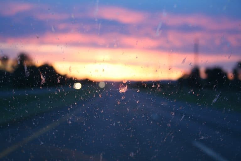 How Clean is your (Wind)Screen? Where have all the insects gone…
