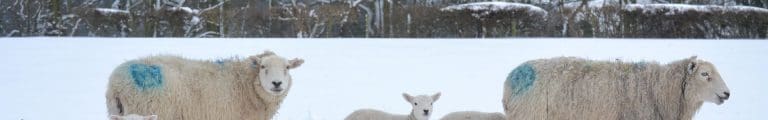 Cold Conditions To Take Over