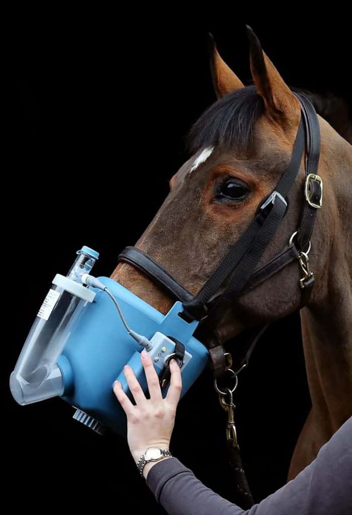 MOSSBURN COMMUNITY FARM LAUNCH FUNDING APPEAL TO HELP PONY 'MITZEE' BREATH EASY