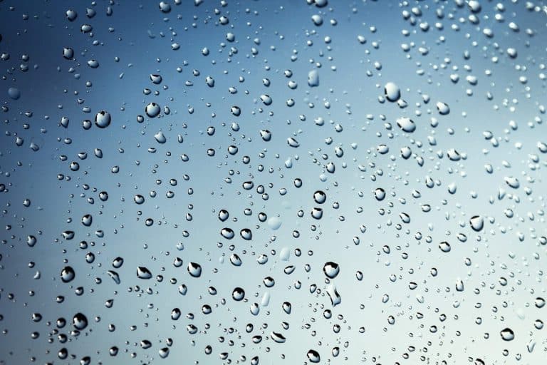 Settled weather gives way to wind and rain