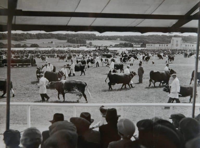 The Great Yorkshire Show Extended to Four Days For First Time Ever
