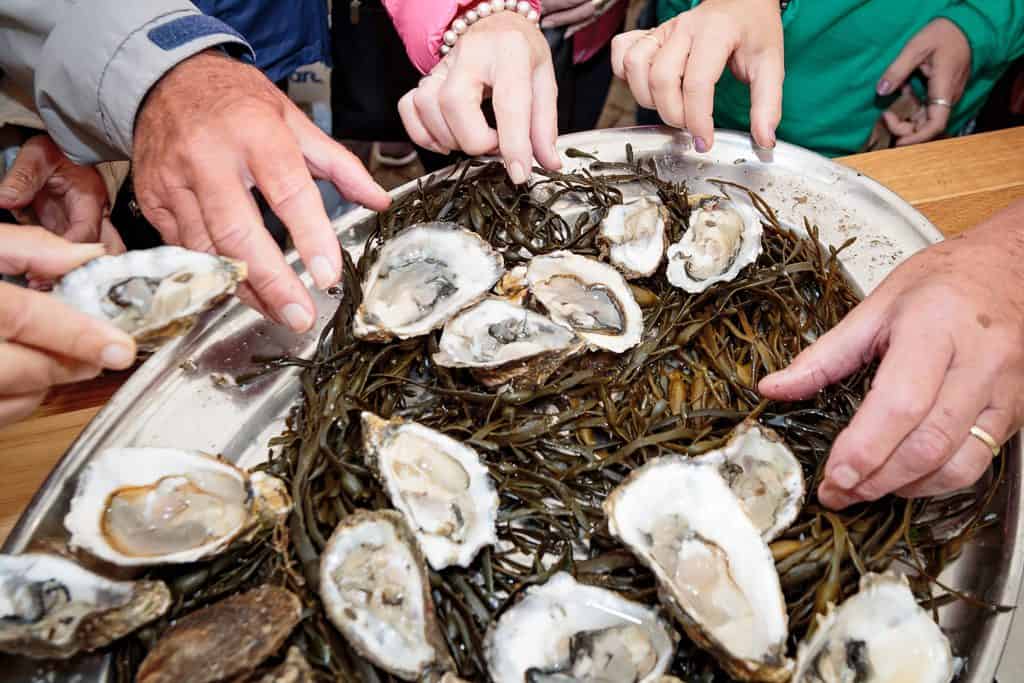 Stranraer Oyster Festival Won’t Return Until 2022