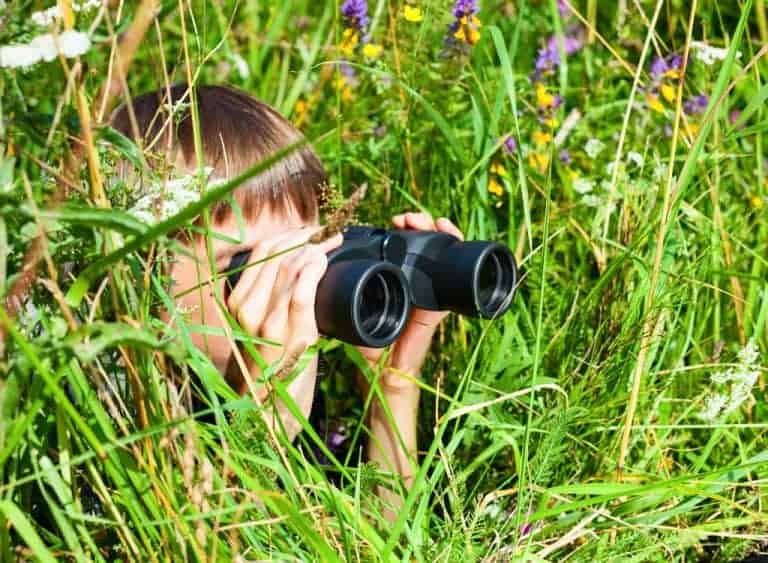Galloway and Southern Ayrshire UNESCO Biosphere Launch YOUNG NATURE BLOGGER Challenge
