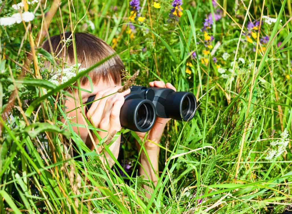 Galloway and Southern Ayrshire UNESCO Biosphere Launch YOUNG NATURE BLOGGER Challenge