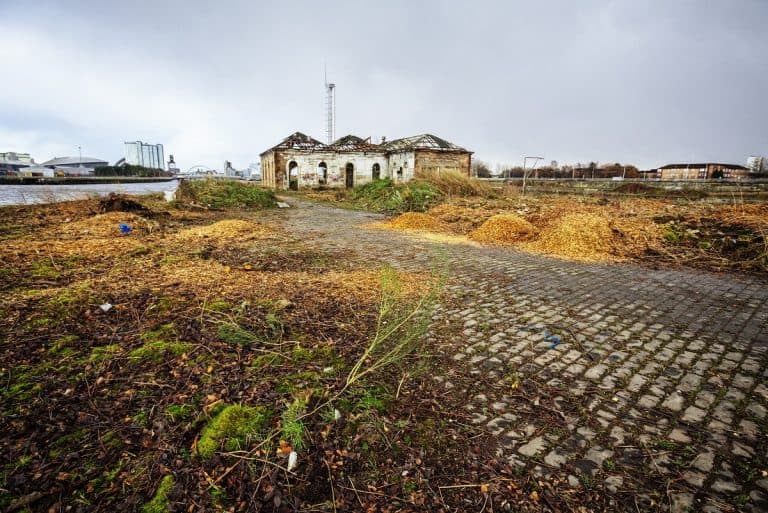 Survey finds support for widening land ownership