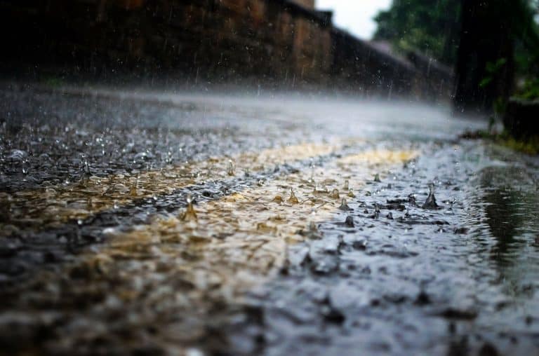 Wet & Windy End To The Week Before Settling Down