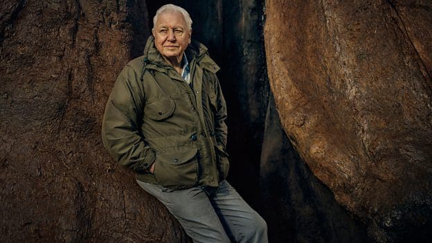 Sir David Attenborough Named COP26 People’s Advocate Ahead Of Crucial UN Climate Change Summit