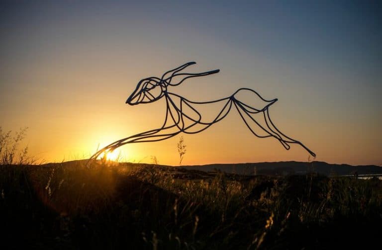 Steel Wildlife Sculptures To Go On Display At WWT Caerlaverock