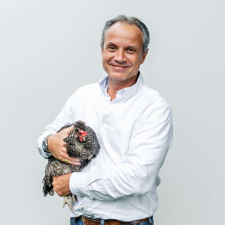 WORKING CHICKENS SEARCHING FOR A FOREVER HOME WOULD STRETCH FROM JOHN O’GROATS TO LAND’S END
